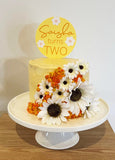 Cake Topper 12cm Round Solid Colours