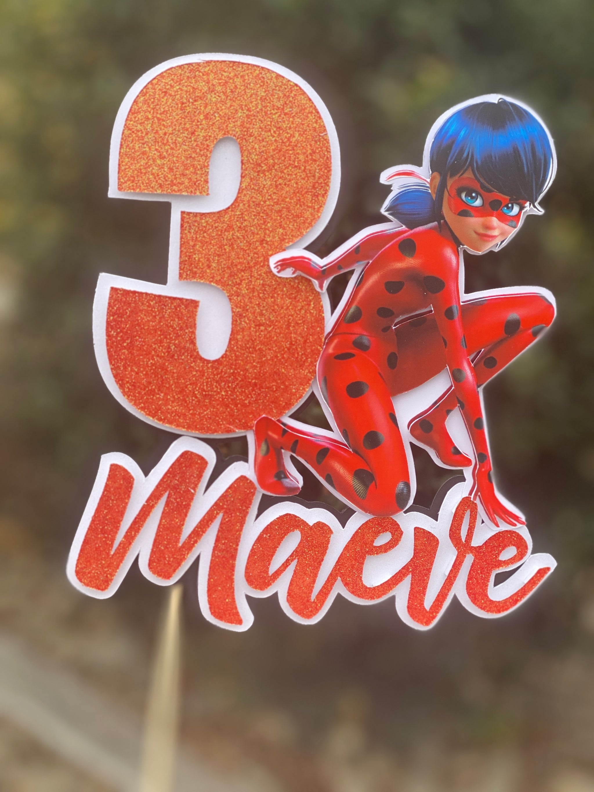 3D Cake Topper Miraculous Ladybug Theme – Toad and Co Designs